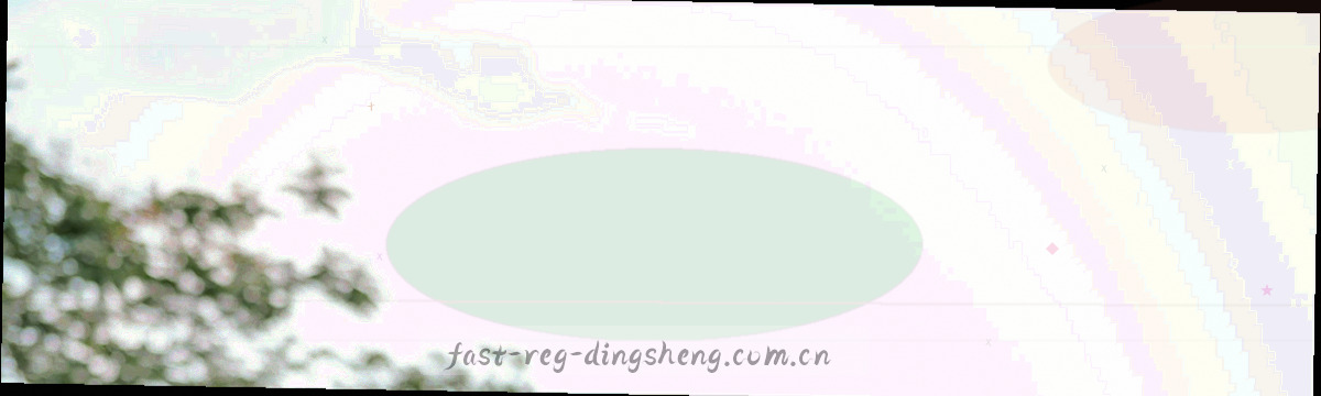 横向阶梯状费率刻度信息图，五级服务与三档加急提速以刻度与色块标示